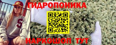 винт Тара