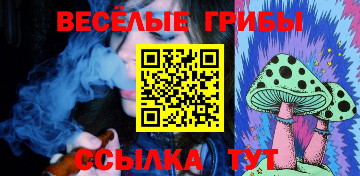 Менделеевск  Псилоцибиновые грибы MAGIC MUSHROOMS  Галлюциногенные грибы GOLDEN TEACHER  Вход с VPN 